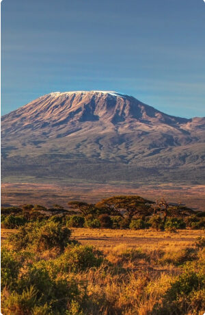 The highest standing mountain in the world
