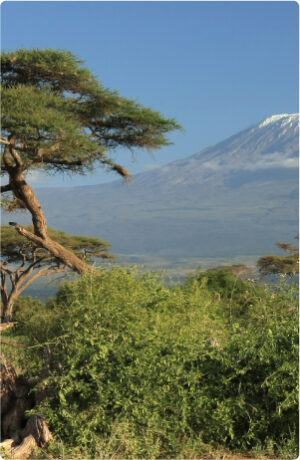 Kili volcano is just sleeping!