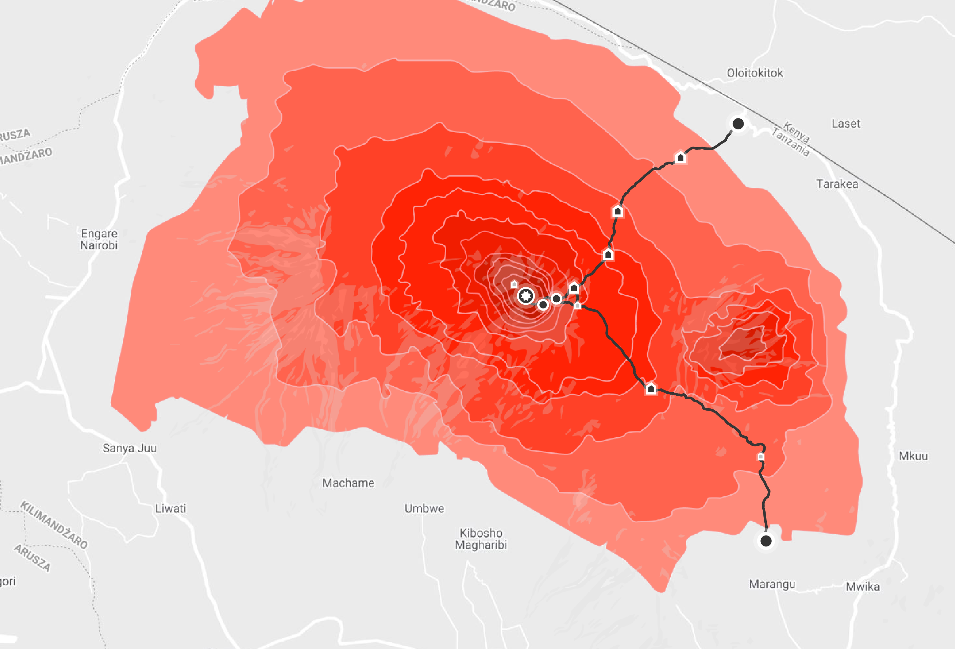 Rongai